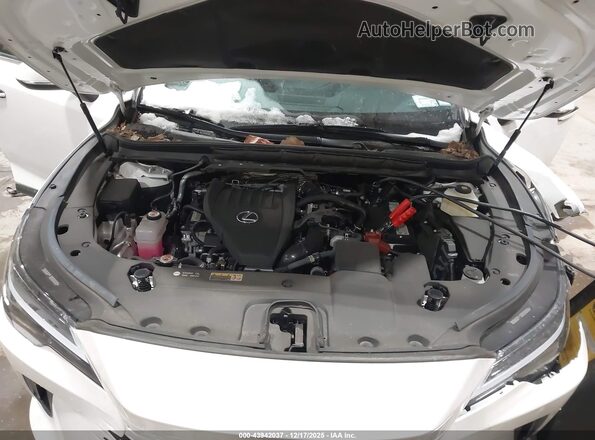 2T2BAMCA9PC037237 2023 LEXUS RX 350 Белый Вид сзади
