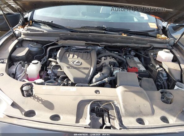 2T2BAMCA9RC060262 2024 LEXUS RX 350 Gray Widok z tyłu