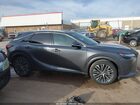 2024 Lexus Rx 350 Premium Plus Gray vin: 2T2BAMCA9RC060262
