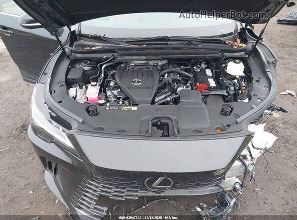 2T2BAMCA9SC120191 2025 LEXUS RX 350 Черный Вид сзади