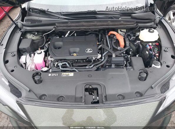 2T2BBMCA3SC100502 2025 LEXUS RX 350H Зеленый Вид сзади