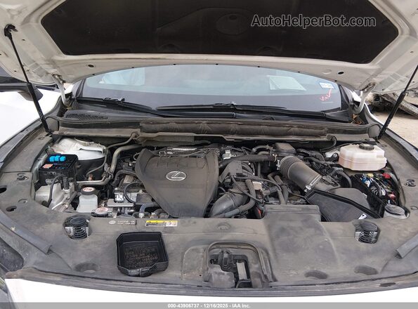 2T2BCMEA9RC012784 2024 LEXUS RX 500H White Vista trasera