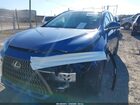 2025 Lexus Nx 250 Premium Blue vin: 2T2GDCAZ3SC018725