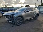 2024 Lexus Nx 250 Premium Tan vin: 2T2GDCAZ5RC006375