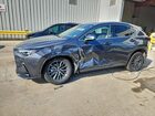 2024 Lexus Nx 250 Premium Gray vin: 2T2GDCAZ7RC015059