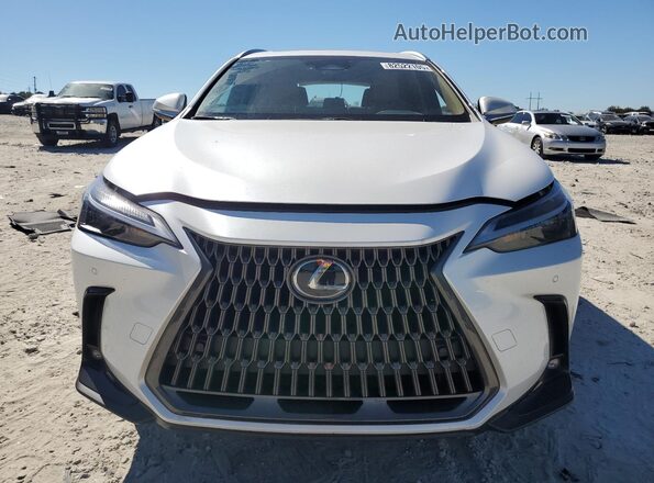 2T2GDCAZ7SC027508 2025 LEXUS NX White Vista frontal