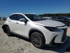 2025 Lexus Nx 250 Premium White vin: 2T2GDCAZ7SC027508