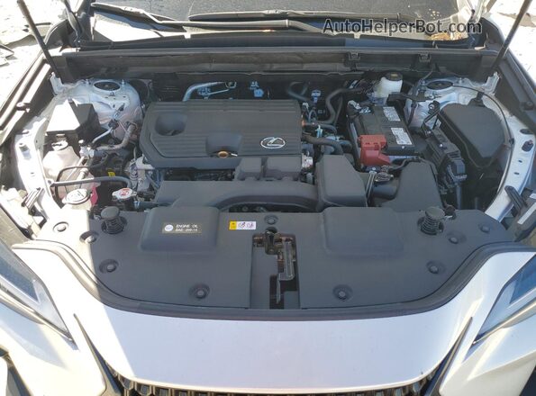 2T2GDCAZ7SC027508 2025 LEXUS NX White Vista del compartimento del motor