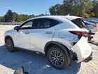 2025 Lexus Nx 250 Premium White vin: 2T2GDCAZ7SC027508