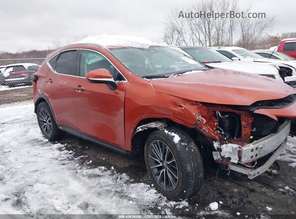 2T2GDCAZ8PC003435 2023 LEXUS NX 250 Orange 360 interior view
