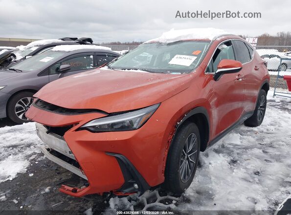 2T2GDCAZ8PC003435 2023 LEXUS NX 250 Orange Front left