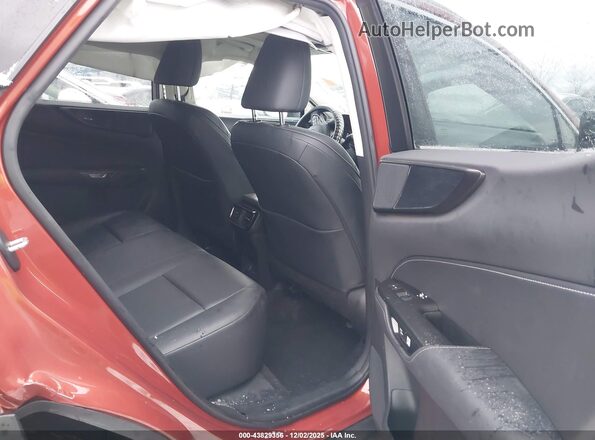 2T2GDCAZ8PC003435 2023 LEXUS NX 250 Orange VIN sticker view