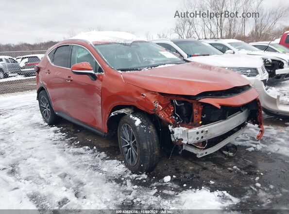 2T2GDCAZ8PC003435 2023 LEXUS NX 250 Orange Front right
