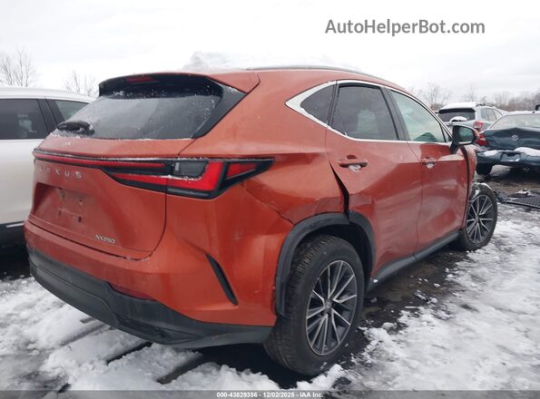 2T2GDCAZ8PC003435 2023 LEXUS NX 250 Orange Rear right