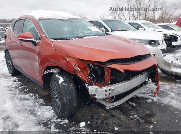 2T2GDCAZ8PC003435 2023 LEXUS NX 250 Orange Front view
