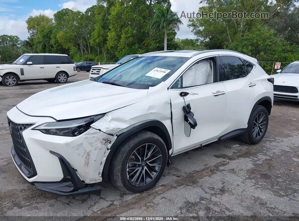 2T2GDCAZ8PC005296 2023 LEXUS NX 250 White Widok z przodu