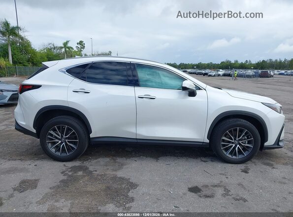 2T2GDCAZ8PC005296 2023 LEXUS NX 250 White Widok wnętrza z tyłu