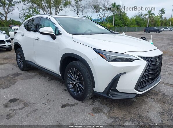 2T2GDCAZ8PC005296 2023 LEXUS NX 250 White Przód prawy