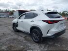 2023 Lexus Nx 250 Premium White vin: 2T2GDCAZ8PC005296