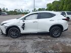 2023 Lexus Nx 250 Premium White vin: 2T2GDCAZ8PC005296
