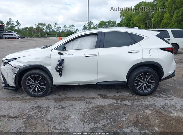 2T2GDCAZ8PC005296 2023 LEXUS NX 250 White Widok wnętrza 360 stopni