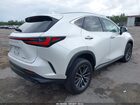 2023 Lexus Nx 250 Premium White vin: 2T2GDCAZ8PC005296
