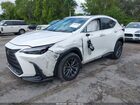 2023 Lexus Nx 250 Premium White vin: 2T2GDCAZ8PC005296