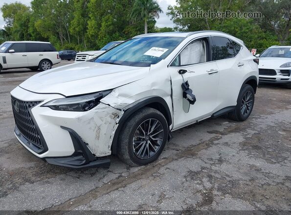 2T2GDCAZ8PC005296 2023 LEXUS NX 250 White Przód lewy