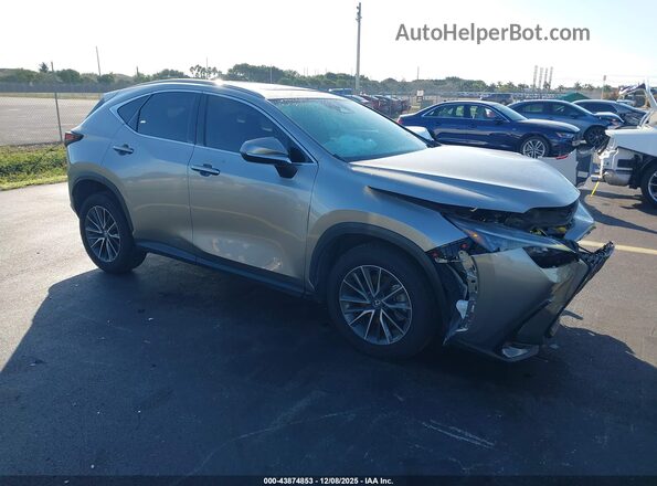 2T2GDCAZXSC019452 2025 LEXUS NX 250 Beige Передня права чверть