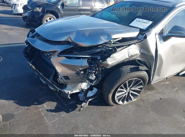 2T2GDCAZXSC019452 2025 LEXUS NX 250 Beige Вид спереду