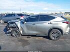 2025 Lexus Nx 250 Premium Beige vin: 2T2GDCAZXSC019452