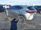 2025 Lexus Nx 250 Premium Beige vin: 2T2GDCAZXSC019452