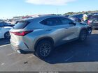 2025 Lexus Nx 250 Premium Beige vin: 2T2GDCAZXSC019452