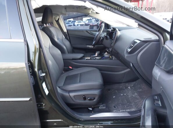 2T2GDCEZ8NC001983 2022 LEXUS NX 250 Зеленый Вид салона спереди