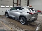 2023 Lexus Nx 350 Premium Gray vin: 2T2GGCEZ0PC017136