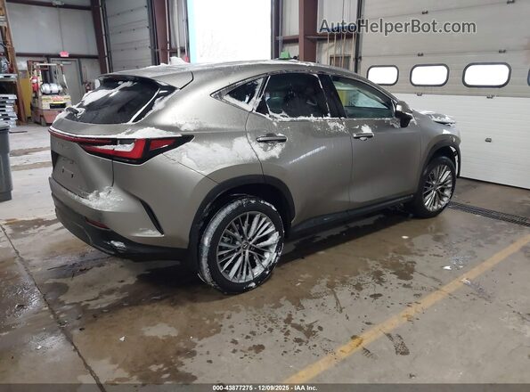 2T2GGCEZ0PC017136 2023 LEXUS NX 350 Gray Tył prawy