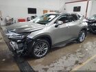 2023 Lexus Nx 350 Premium Gray vin: 2T2GGCEZ0PC017136