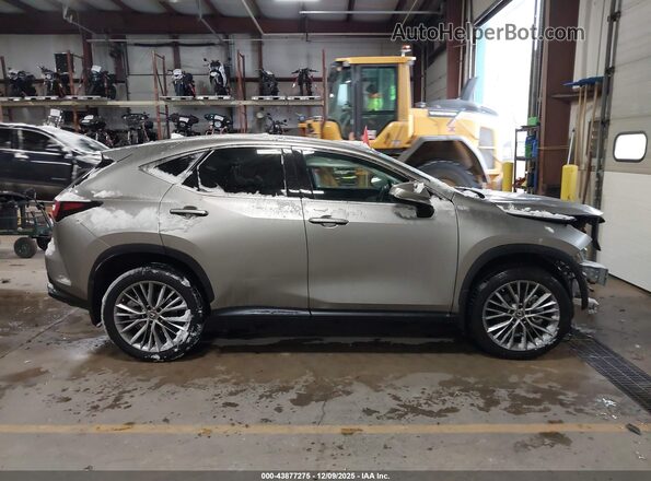 2T2GGCEZ0PC017136 2023 LEXUS NX 350 Gray Widok wnętrza z tyłu