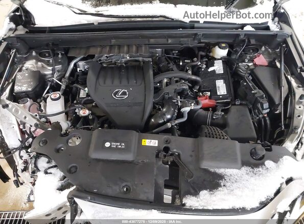 2T2GGCEZ0PC017136 2023 LEXUS NX 350 Gray Widok z tyłu
