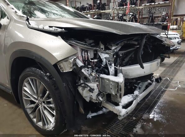 2T2GGCEZ0PC017136 2023 LEXUS NX 350 Gray 
