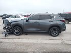 2022 Lexus Nx 350 Premium Gray vin: 2T2GGCEZ1NC009902