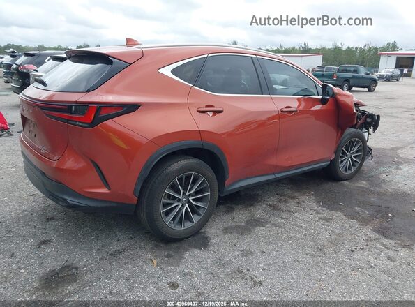 2T2GGCEZ1PC023916 2023 LEXUS NX 350 Orange უკანა მარჯვენა