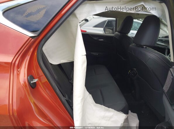 2T2GGCEZ1PC023916 2023 LEXUS NX 350 Orange VIN კოდის სტიკერის ხედი
