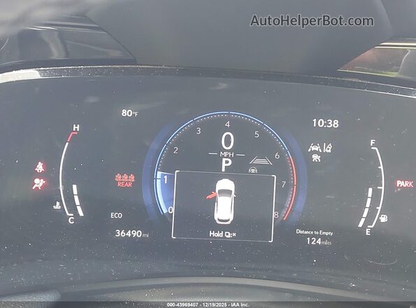 2T2GGCEZ1PC023916 2023 LEXUS NX 350 Orange უკანა სავარძლების ხედი