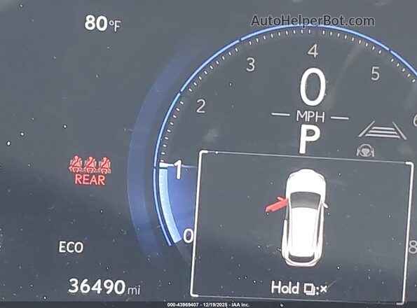 2T2GGCEZ1PC023916 2023 LEXUS NX 350 Orange 
