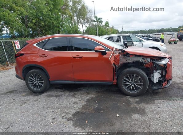 2T2GGCEZ1PC023916 2023 LEXUS NX 350 Orange უკანა სალონის ხედი