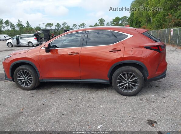 2T2GGCEZ1PC023916 2023 LEXUS NX 350 Orange სალონის 360-გრადუსიანი ხედი