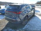 2024 Lexus Nx 350 Premium Gray vin: 2T2GGCEZ1RC043389