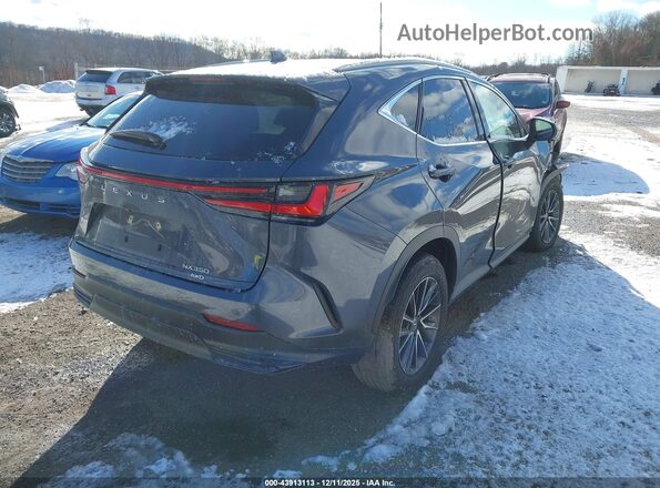 2T2GGCEZ1RC043389 2024 LEXUS NX 350 Gray Հետևի աջ