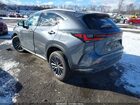 2024 Lexus Nx 350 Premium Gray vin: 2T2GGCEZ1RC043389